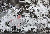 Photo Texture of Concrete Painted 0003